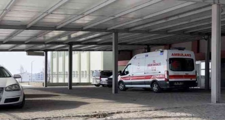 Devrilen ot yüklü traktör römorkunun altında kaldı, hayatını kaybetti
