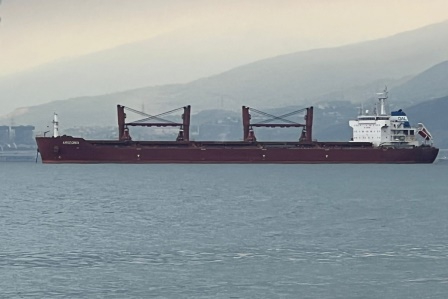 Ukrayna'dan mısır taşıyan "Arizona" gemisi İskenderun Körfezi'nde