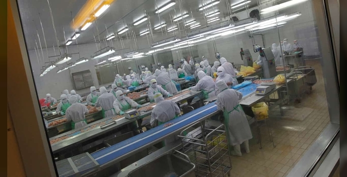 Japonya'da kuş gribi alarmı: Yaklaşık 460 bin tavuk itlaf edilecek