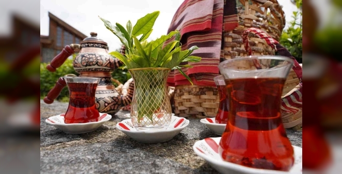 Rize’de Dünya Çay Günü etkinliği