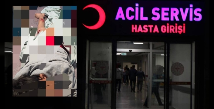 Van’da sokak köpeği dehşeti: 11 yaşındaki çocuk parçalanmaktan son anda kurtuldu